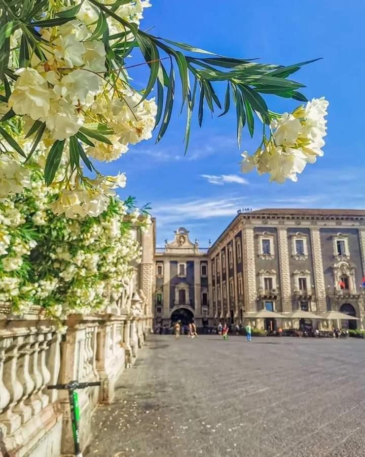 A Casuzza * Catania